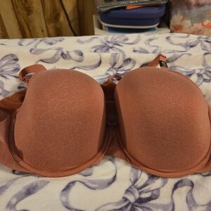 Elegant Rust Bra for Women